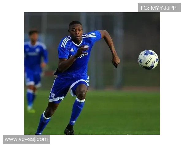 哈德斯对阵加的夫城精彩视频直播全程回放与赛后分析